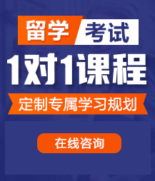 大鸡巴用力插进骚逼里面啊啊啊啊啊,求大鸡巴用力骚逼好爽视频留学考试一对一精品课